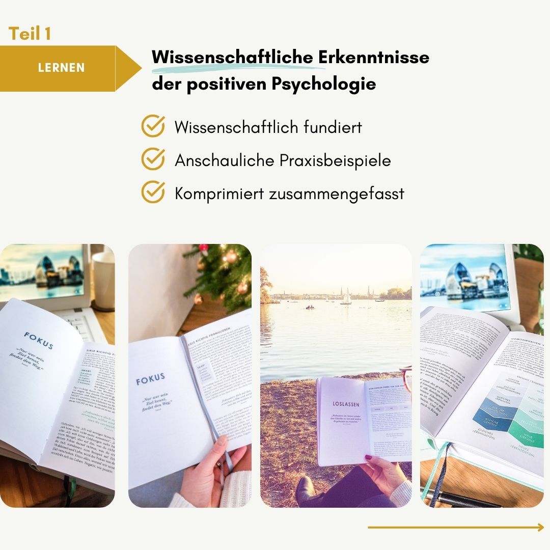 THE NEW YOU - Das Buch, das dein Leben verändert