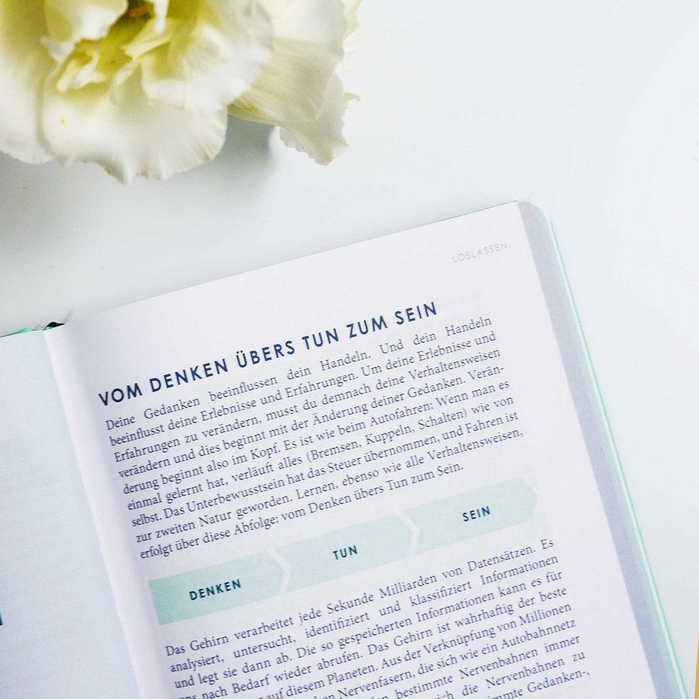 THE NEW YOU - das Buch, das dein Leben verändert